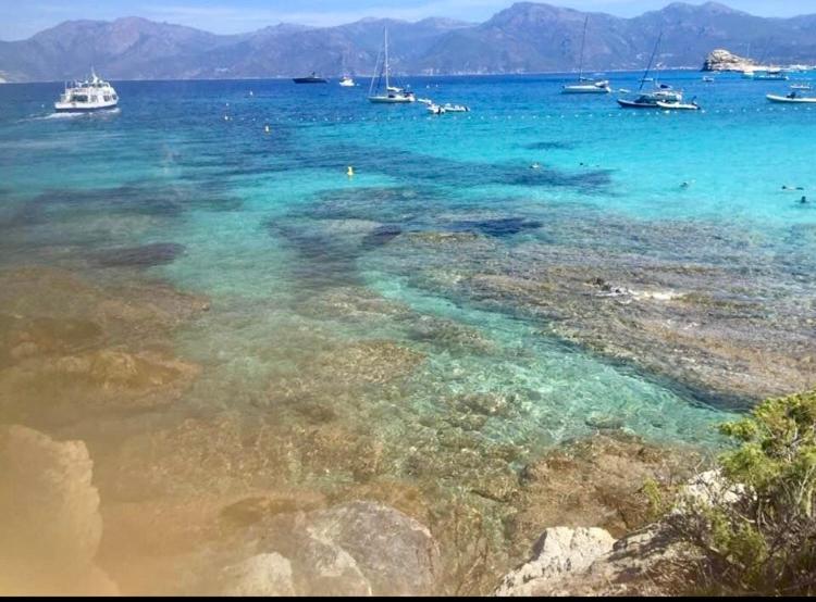 Villa Le Corail Rouge Corse 里奇 外观 照片