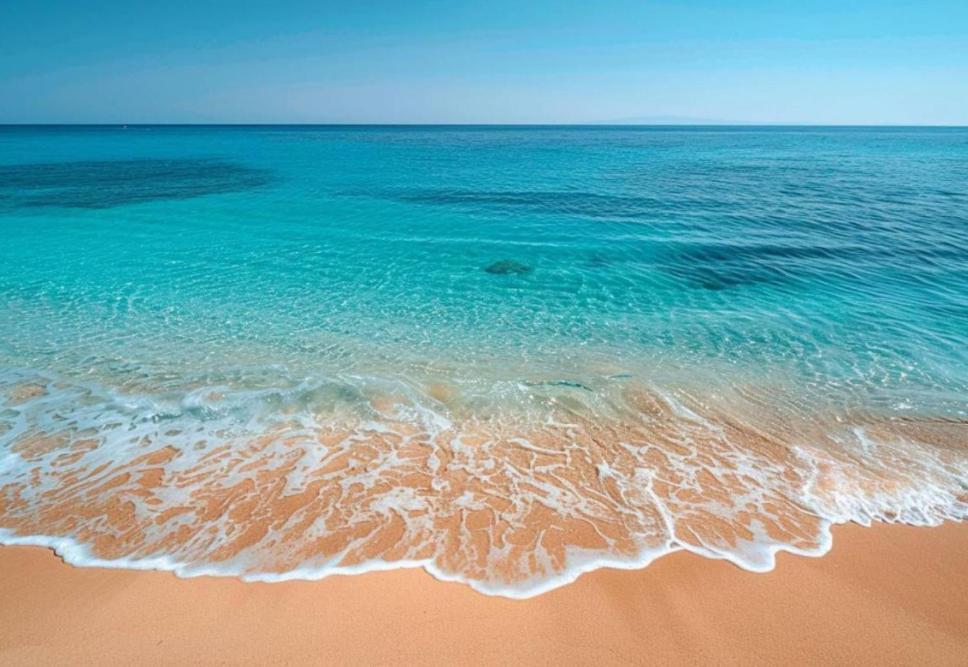 Villa Le Corail Rouge Corse 里奇 外观 照片