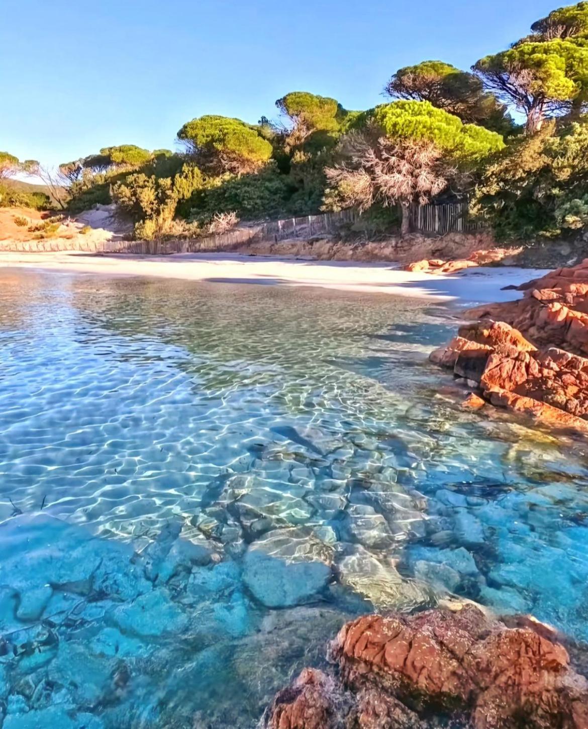 Villa Le Corail Rouge Corse 里奇 外观 照片
