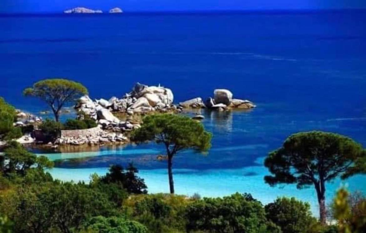 Villa Le Corail Rouge Corse 里奇 外观 照片